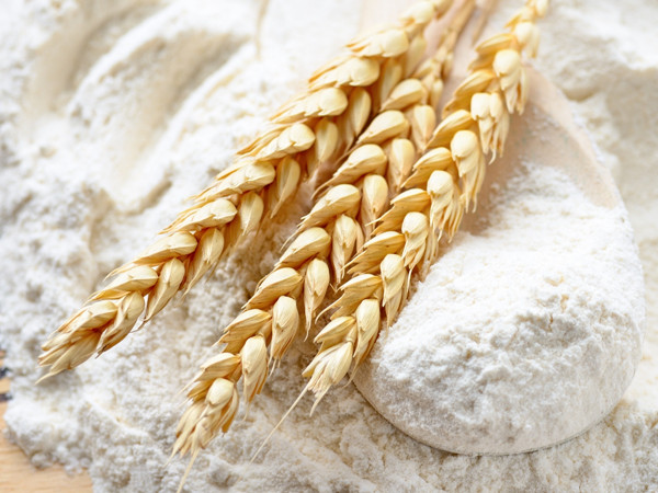 Linha de produção de moagem de trigo